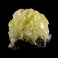 Stellerite